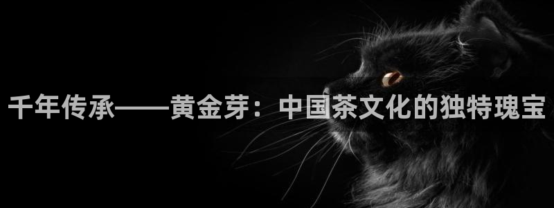 彩名堂二维码