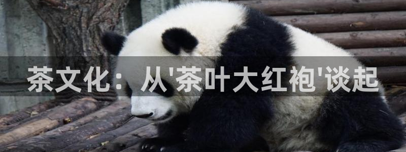 彩名堂客户端是永久免费吗是真的吗安全吗