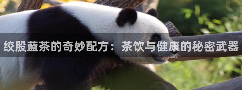 下载彩名堂预测计划软件安装