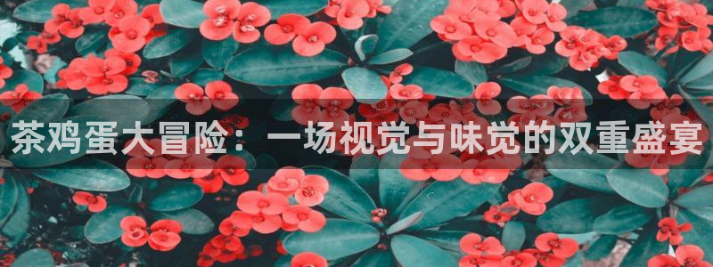 彩名堂免费计划官网50下载957