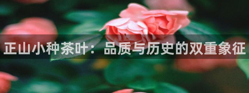 彩名堂手机客户端怎么进不去了