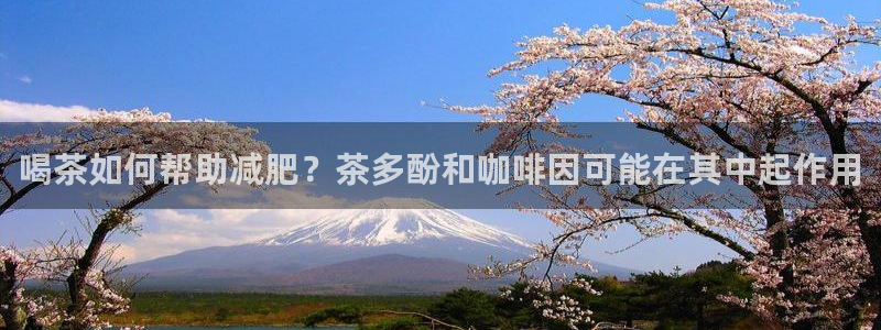 彩名堂官网谁有