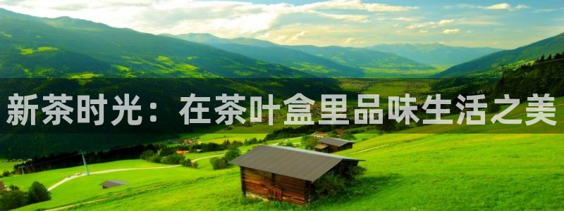 彩名堂怎么样