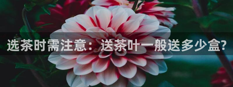 彩名堂计划官方客服