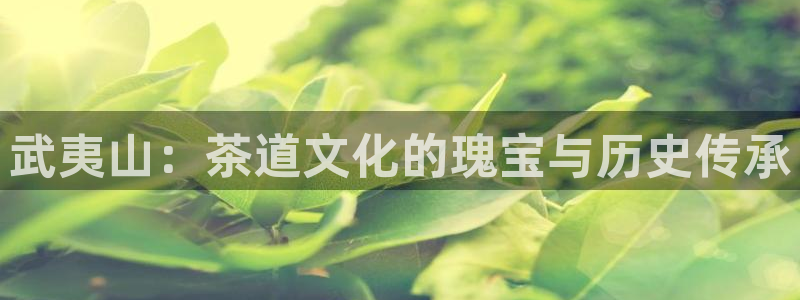 彩名堂怎么选稳定计划产品