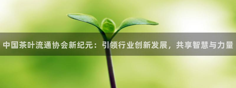 彩名堂5.0计划