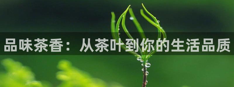彩名堂和01计划哪个好