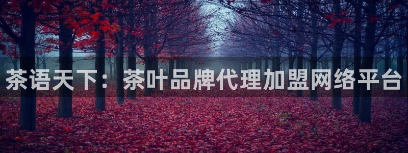 彩名堂免费计划官网购彩计划