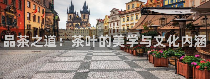 彩名堂移动客户端怎么下载
