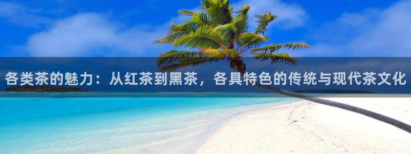 彩名堂人工计划怎么找不到下载了?