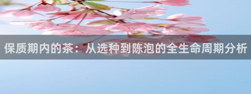 彩名堂最新计划下载地址