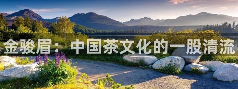 彩名堂官网2