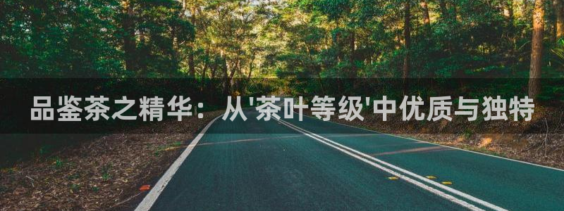 彩名堂怎么选稳定计划产品