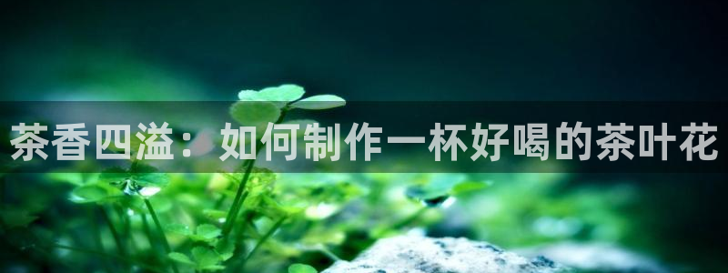 彩名堂手机版官网