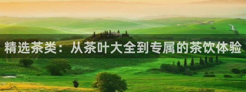 彩名堂客服电话号码