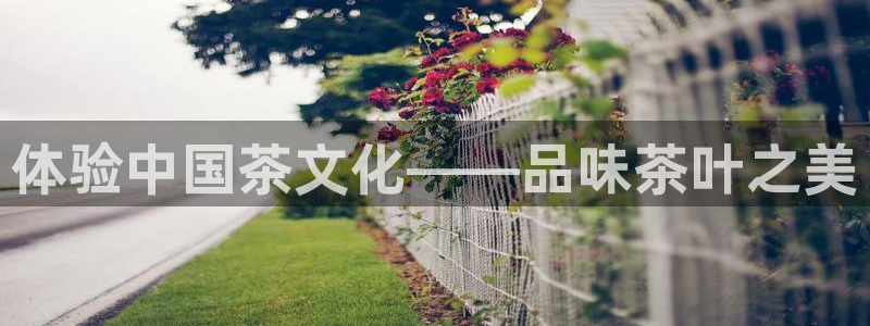 彩名堂01计划