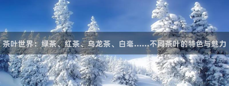 彩名堂计划最新版手机版