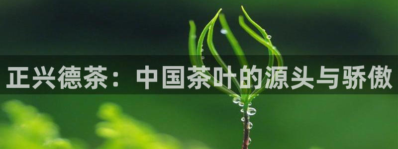 彩名堂为什么用不了了