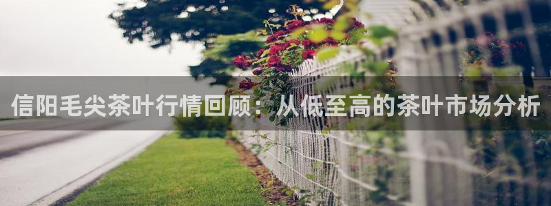 彩名堂计划官方客服