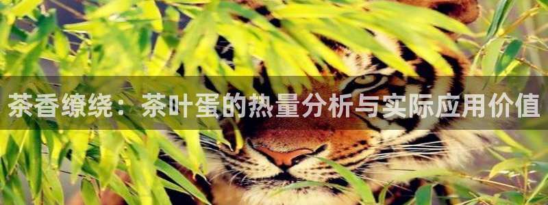 彩名堂免费计划官网50下载957