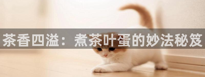 彩名堂预测网站