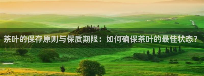 彩名堂最新计划app下载