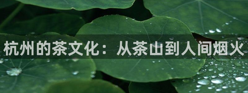 彩名堂5.0