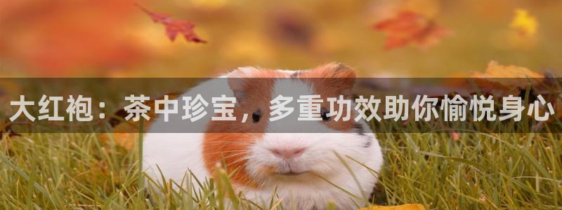 彩名堂app彩名堂客户端