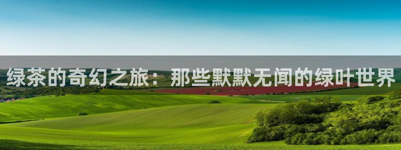 彩名堂app计划官方网站