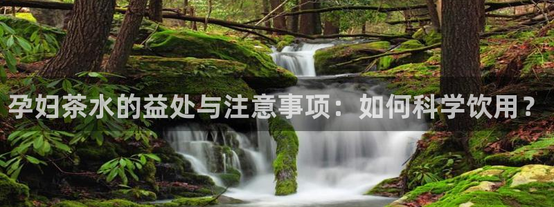 彩名堂计划app新版
