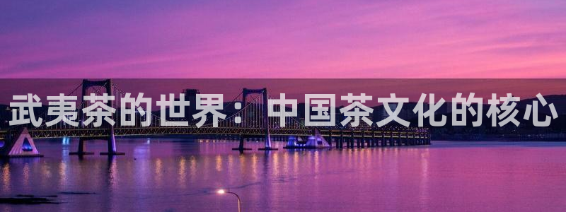 彩名堂免费计划5.0使用方法