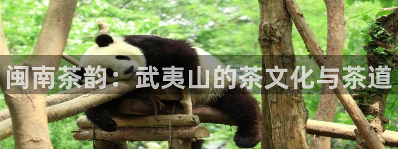 彩名堂客户端是永久免费吗是真的吗吗
