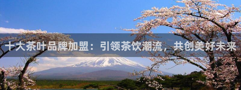 彩名堂客服