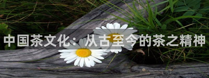 彩名堂计划怎么跟,为什么我一跟就挂