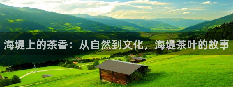 彩名堂5.0计划
