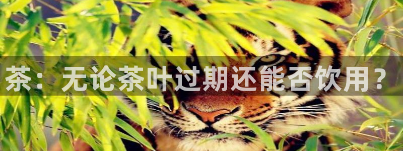 彩名堂app官网
