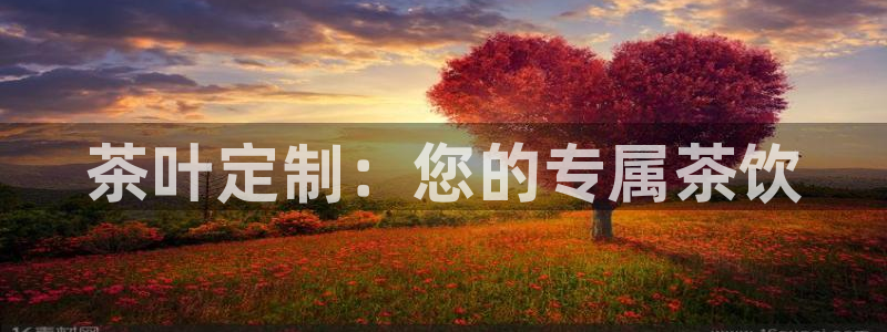 彩名堂移动客户端