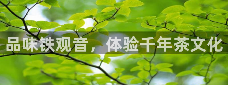 彩名堂怎么跟计划才不连挂