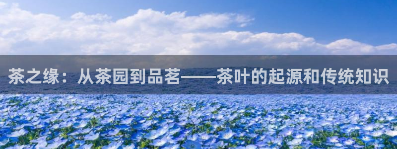 彩名堂免费计划官网5.0版下载链接