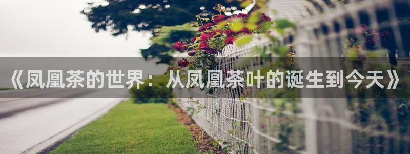 彩名堂免费计划官网怎么进不去了