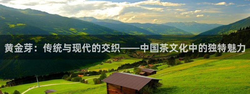 彩名堂