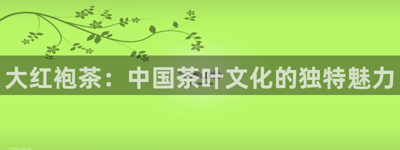 彩名堂首页