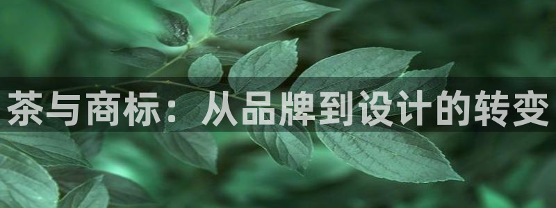 彩名堂还能用吗