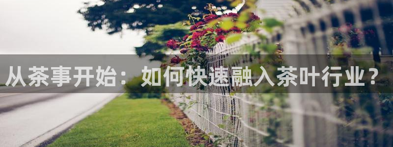彩名堂首页