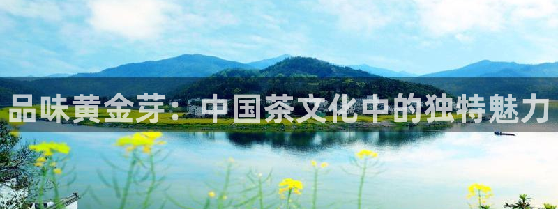 彩名堂计划怎么出的