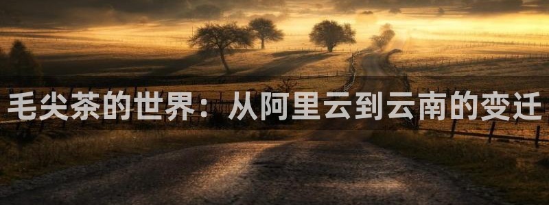彩名堂为什么用不了了